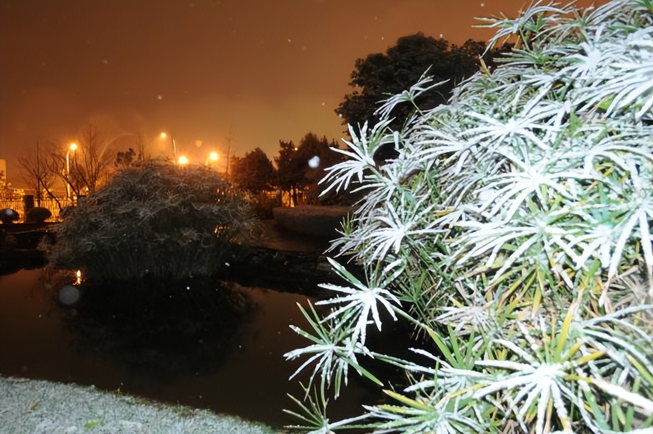 西南民族大学预科生校区环境,西南民族大学预科招收条件