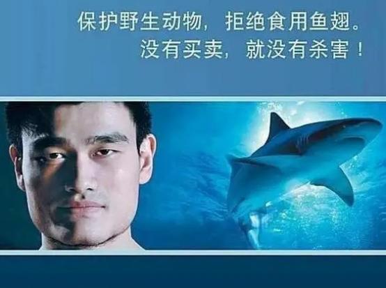 濮氭槑鎷掔粷涓嶅悆椴ㄩ奔,濮氭槑鍚冮波楸煎師瑙嗛