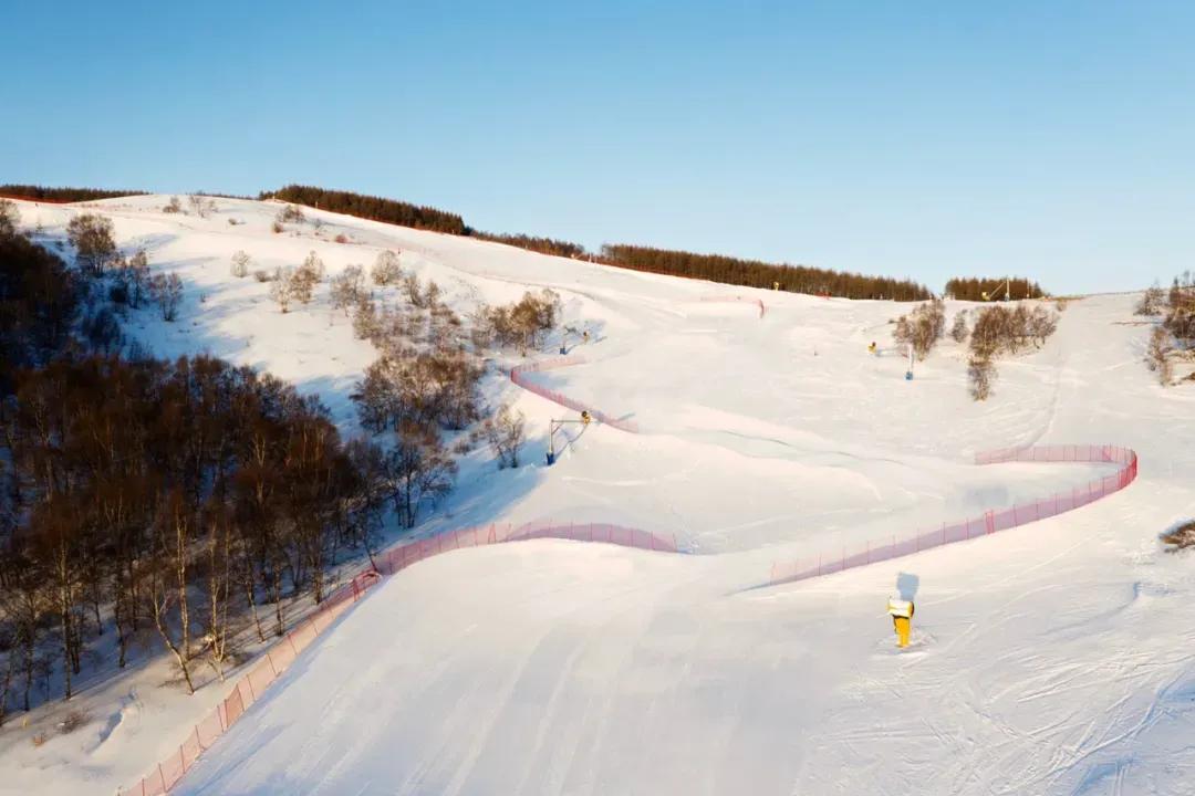 冬奥最新奖牌榜自由式滑雪,冬奥会滑雪比赛精彩回顾