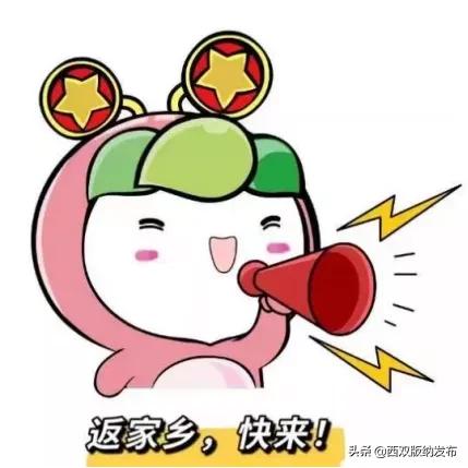 青动态|@西双版纳的大学生：2022年景洪市寒假“返家乡”社会实践活动来啦，200余个岗位虚位以待！