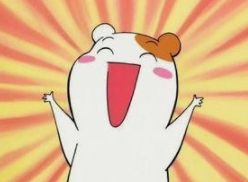 滁州新锐和海亮中学,滁州海亮学校和新锐学校