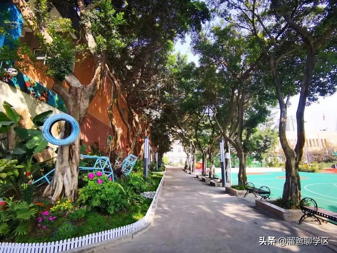 成都哪里小区可以读7中,青羊实验附小划片范围楼盘