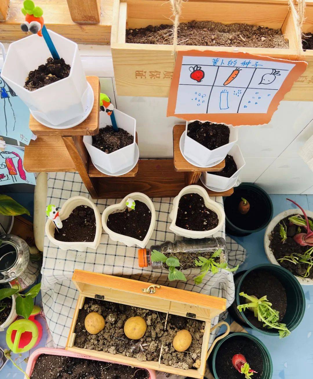 生态环创幼儿园自然角,幼儿园环创自然角实验