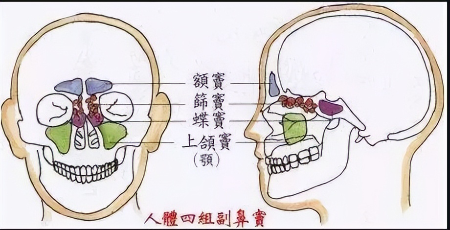 脑袋疼流鼻涕鼻塞怎么办,鼻塞流脓鼻涕鼻涕倒流头疼