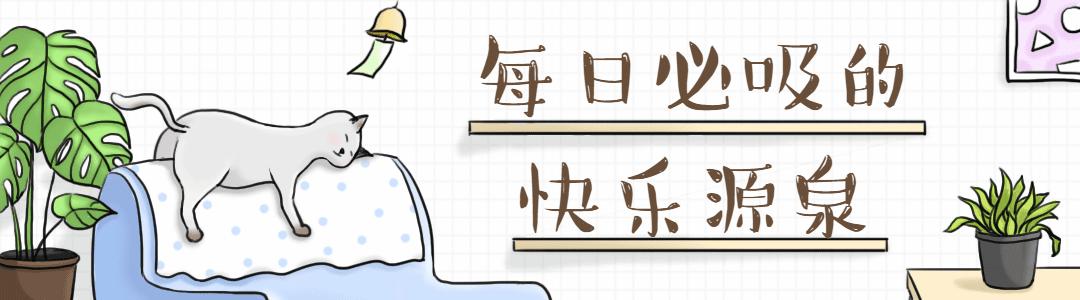 乳胶枕弊端,为什么乳胶枕随便一搞就坏了