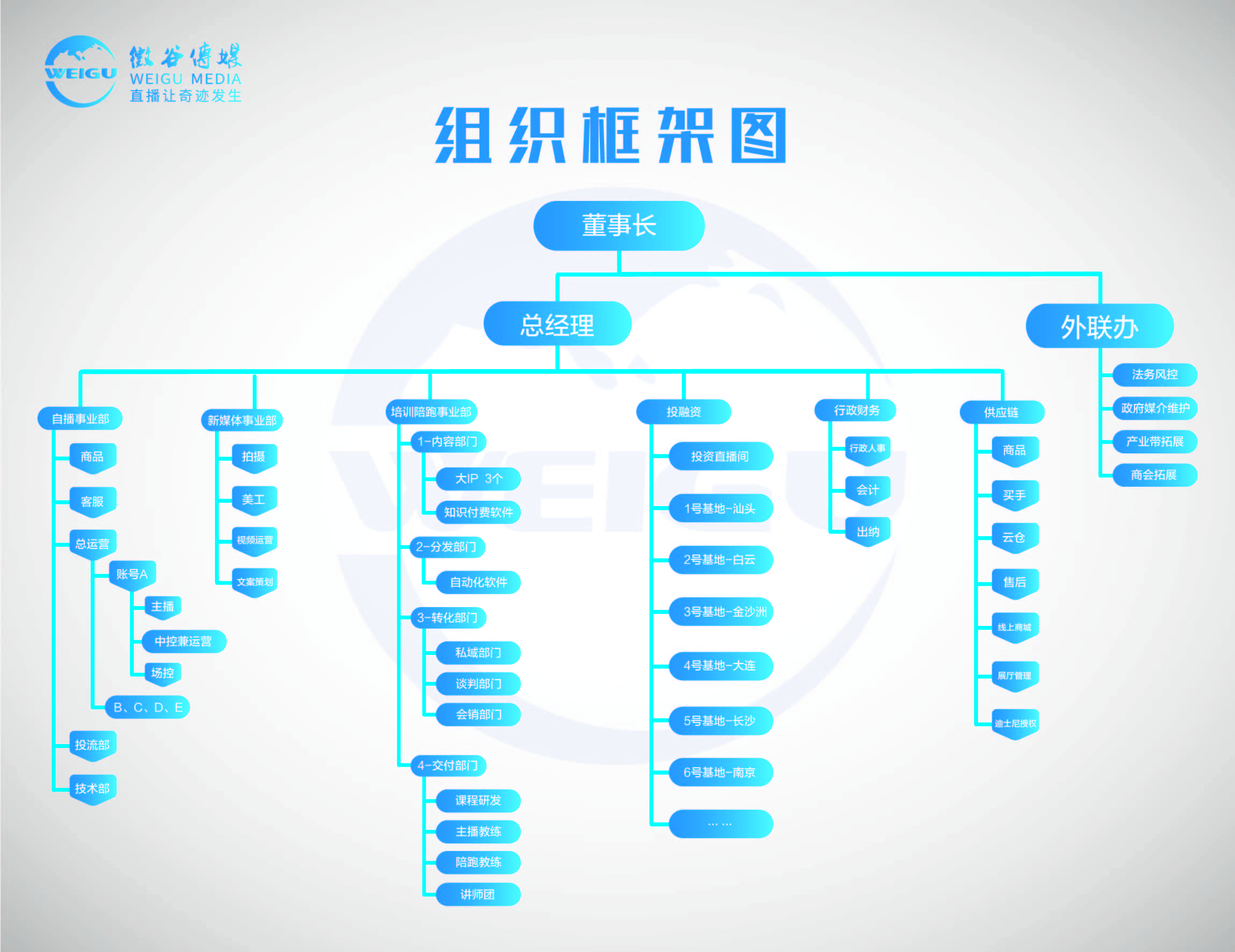 工厂直播介绍,工厂直播合作方案
