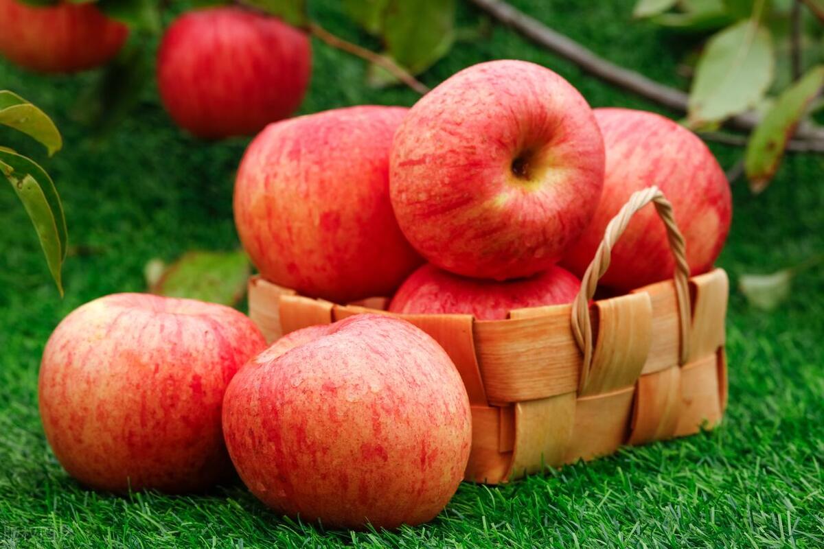 灰色的记忆288,灰色的记忆已过去