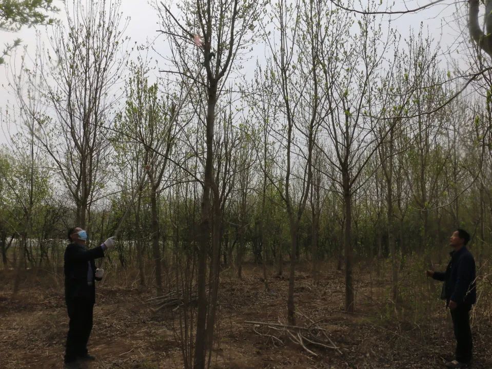 小产业带动乡村振兴大步伐,产业扶贫助力乡村振兴