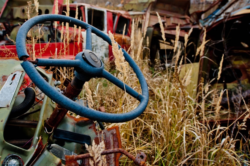 核事故的危害,核事故幸存者