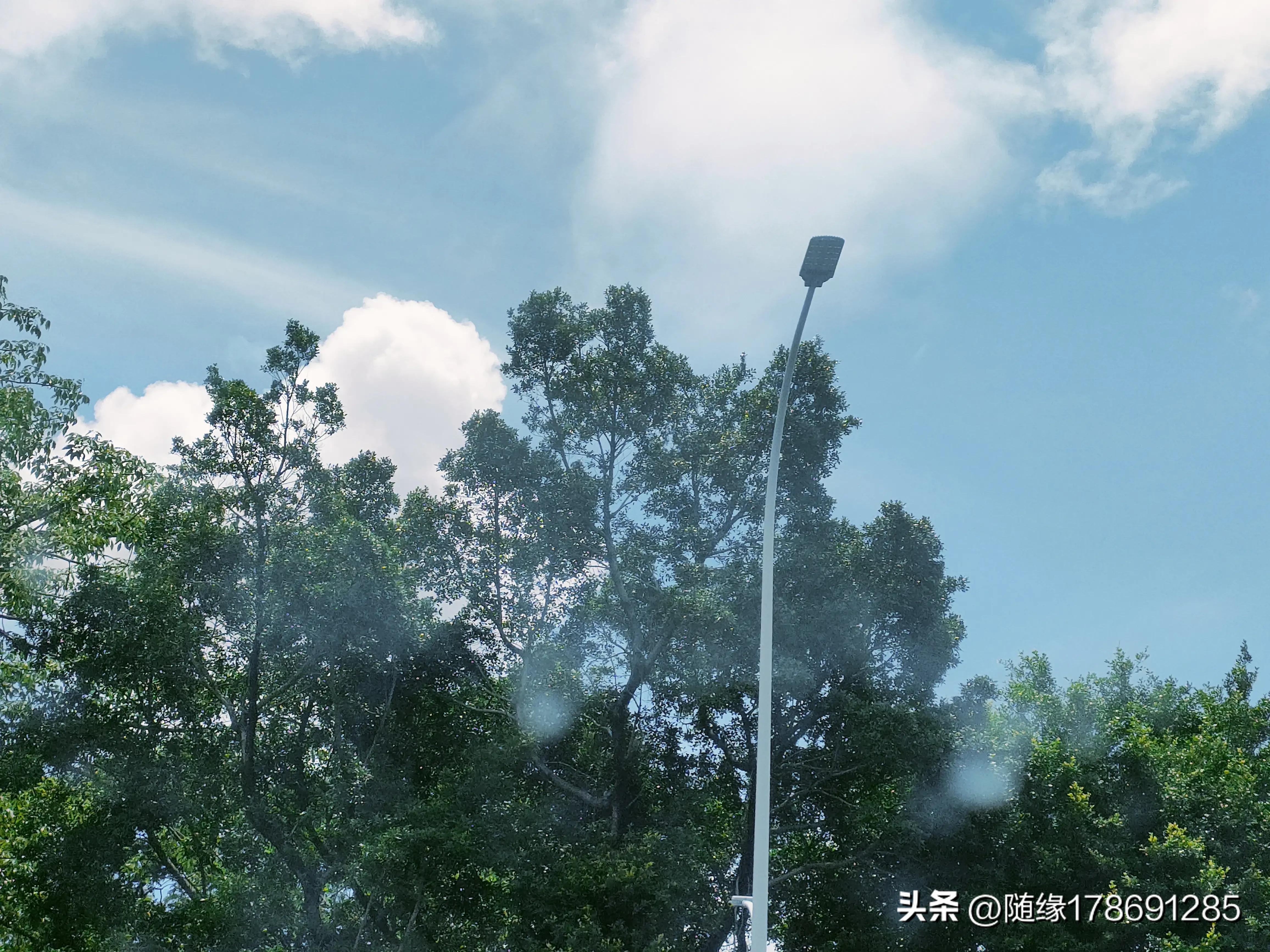 云游潮汕,汕头金砂中路公园