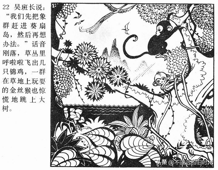 大象搬家,大象搬家河北