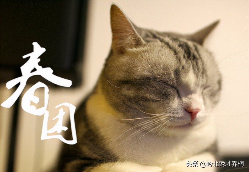 诗歌陕西方言改编,西安童谣方言版