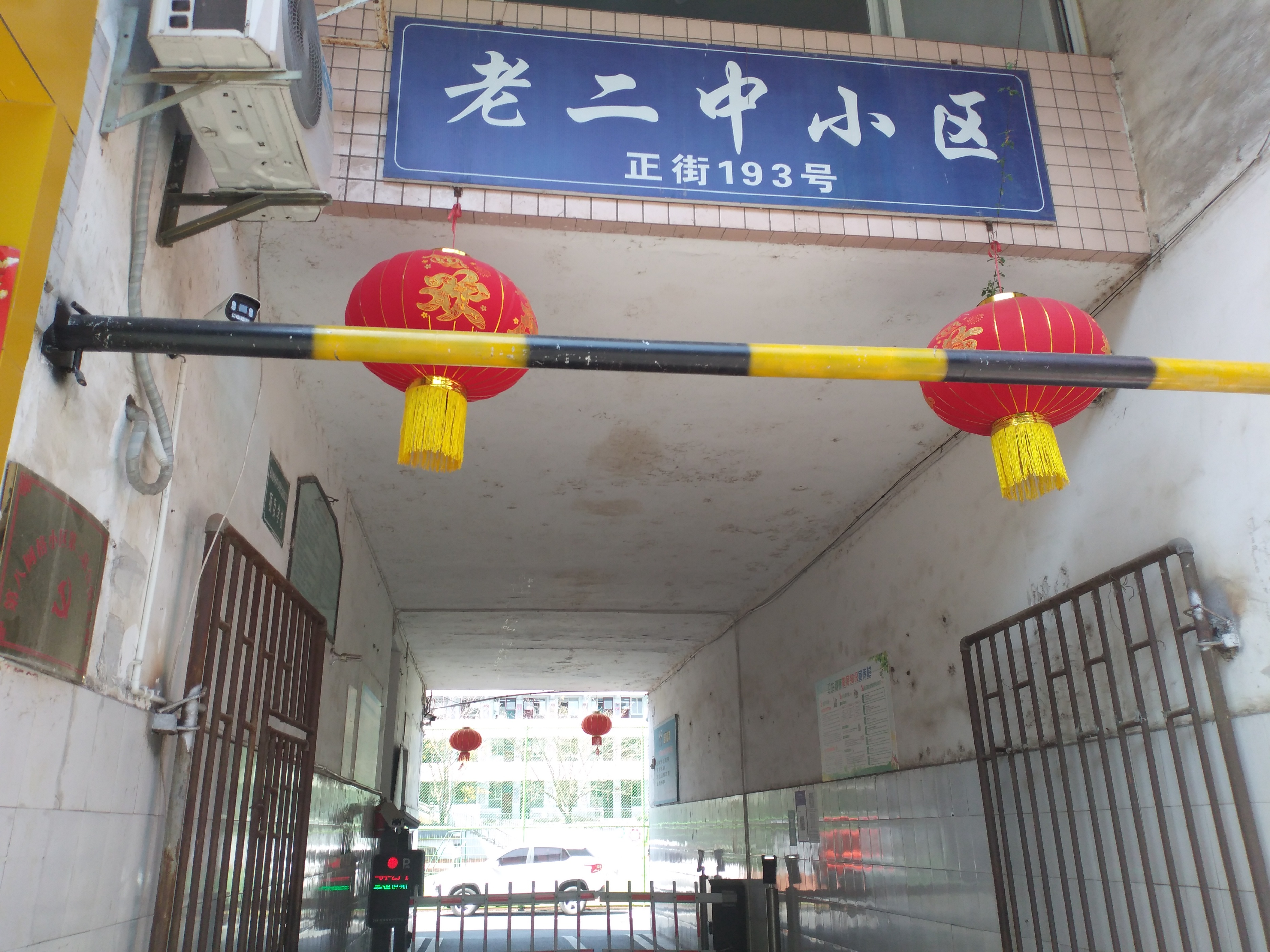 四川丹棱：报告妈妈，我发现了袋鼠