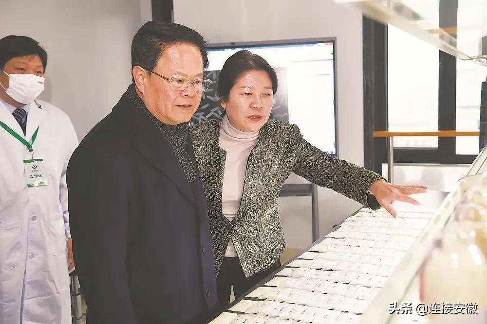 郑栅洁调研合肥市种业振兴工作并召开座谈会