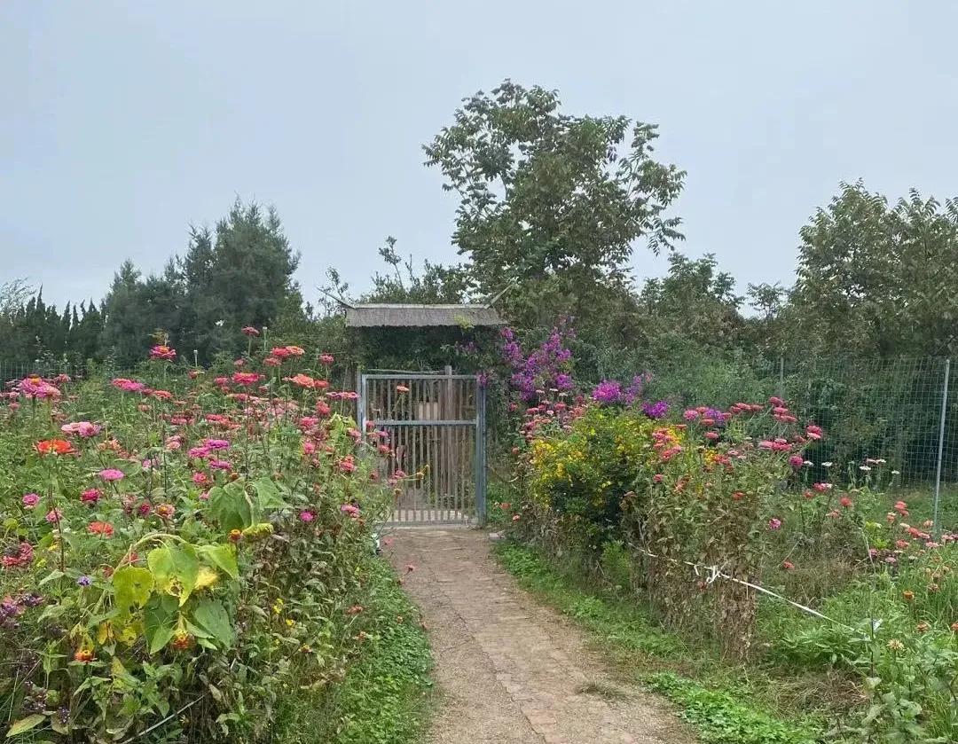 大理幼儿园环境,大理县城幼儿园