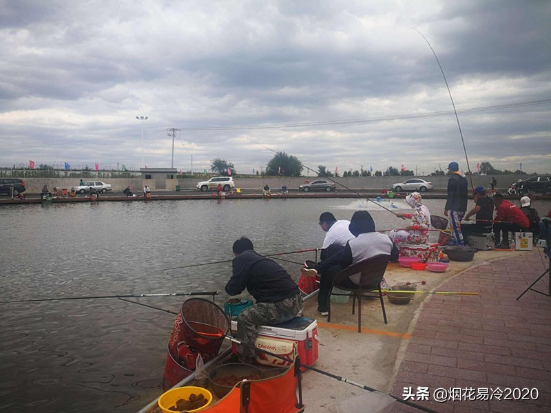 生态农业做什么最赚钱,十大前景最好的农业项目