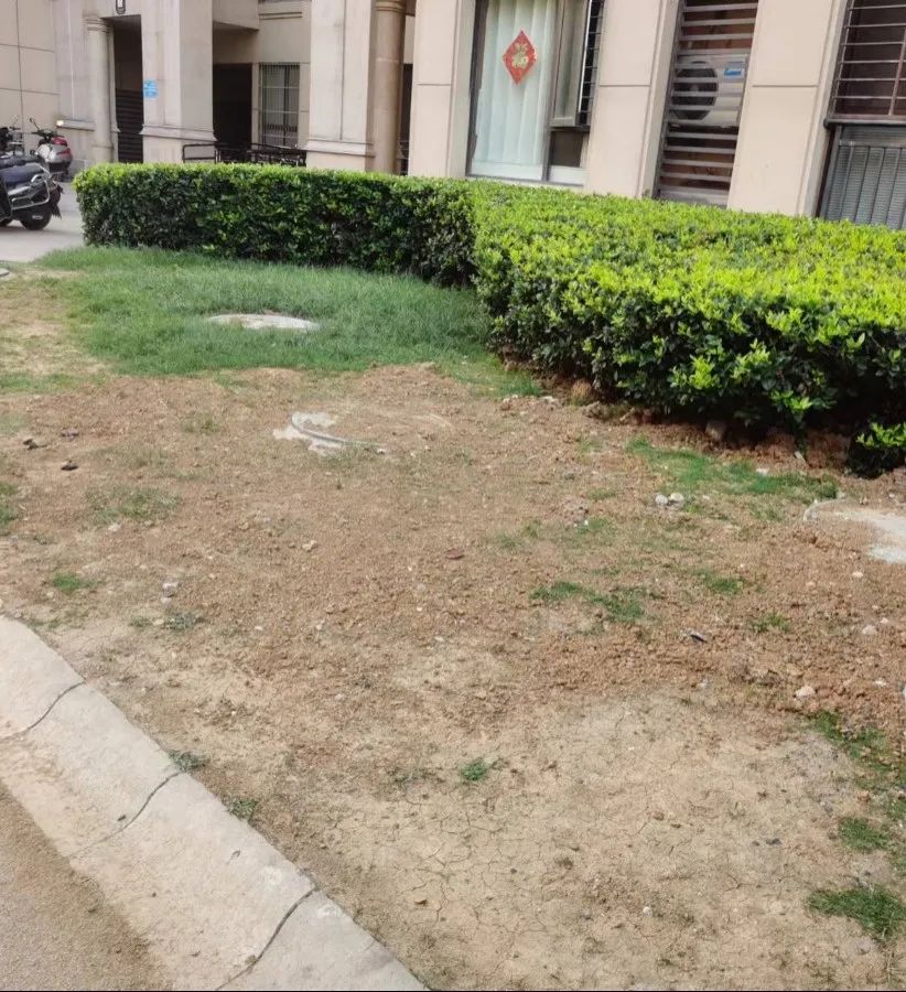 合肥市海亮九玺南区,合肥庐阳区海亮九玺