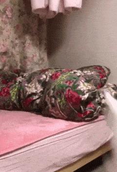 神回复有深度的话,神回复的意思