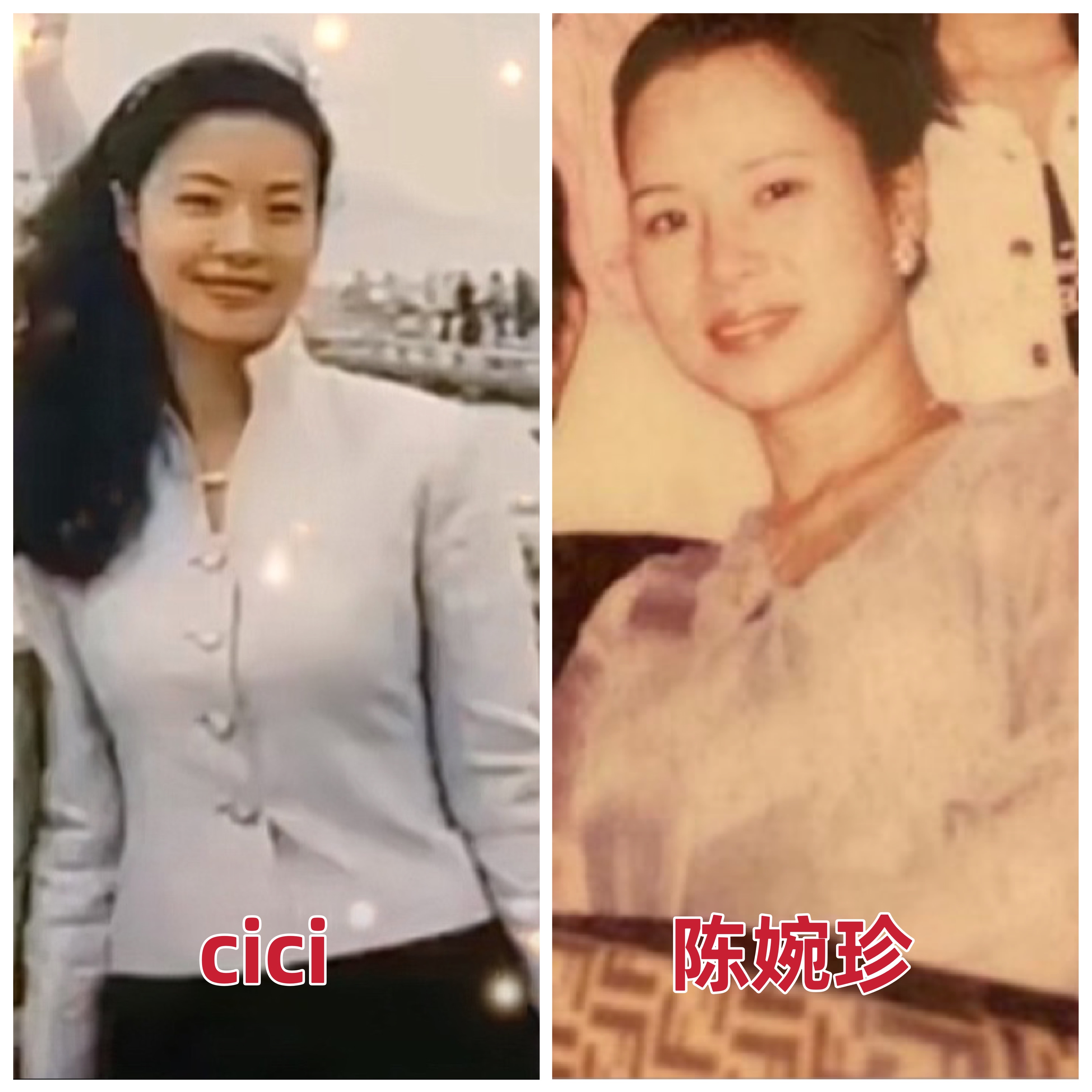 cici888跟赌王三太什么关系,cici是赌王三太陈婉珍的护士吗