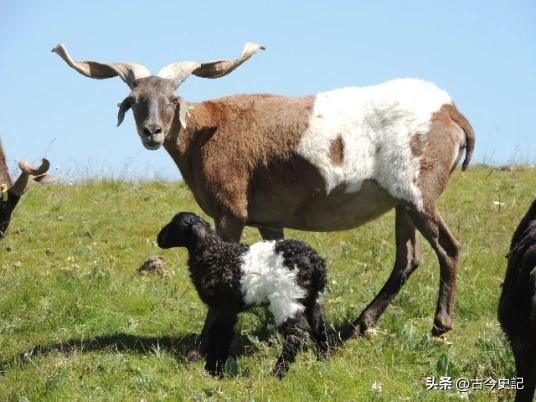 带你了解神秘的青海,青海省冷知识