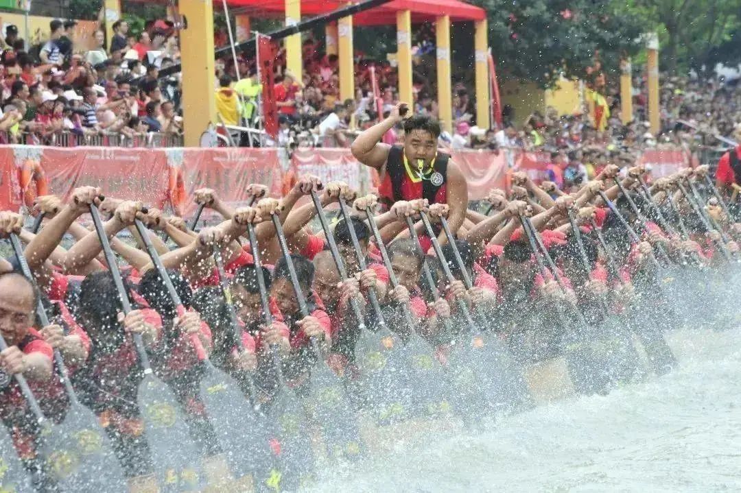 1场比赛3000万！端午最火运动，为何在广东封神？