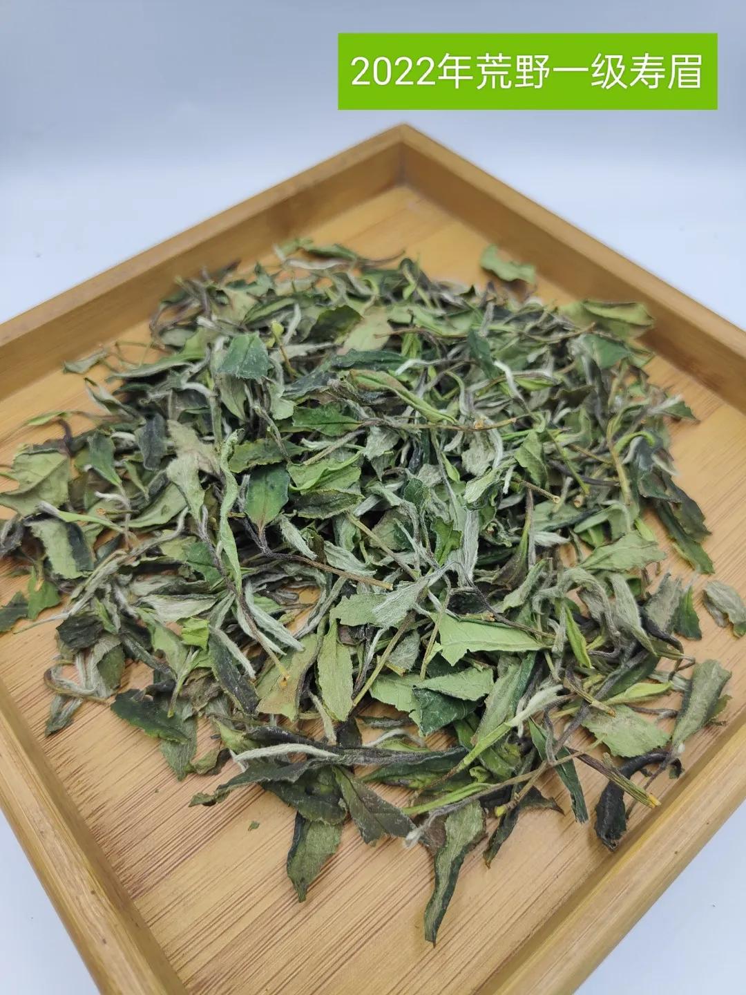 觅茶之趣岁月纯粹