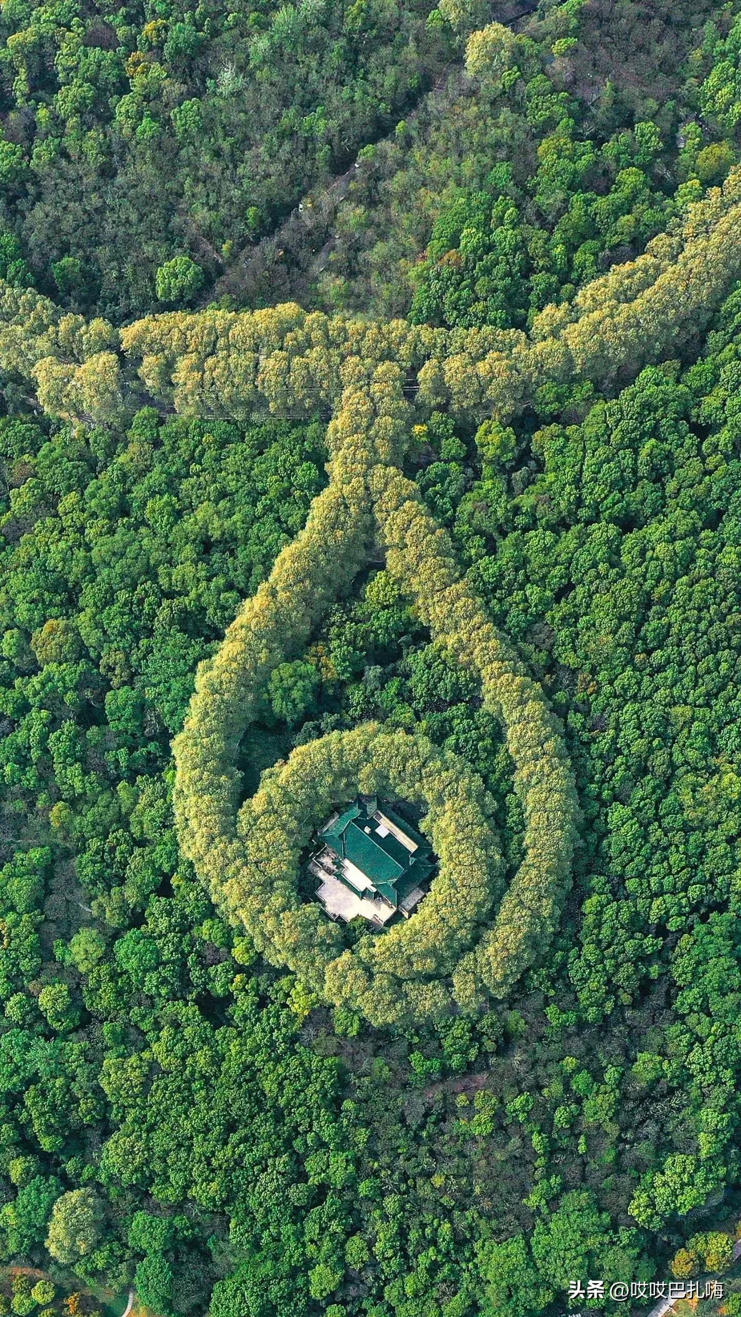 盛产院士的中学,安徽省培养两院院士最多中学排名