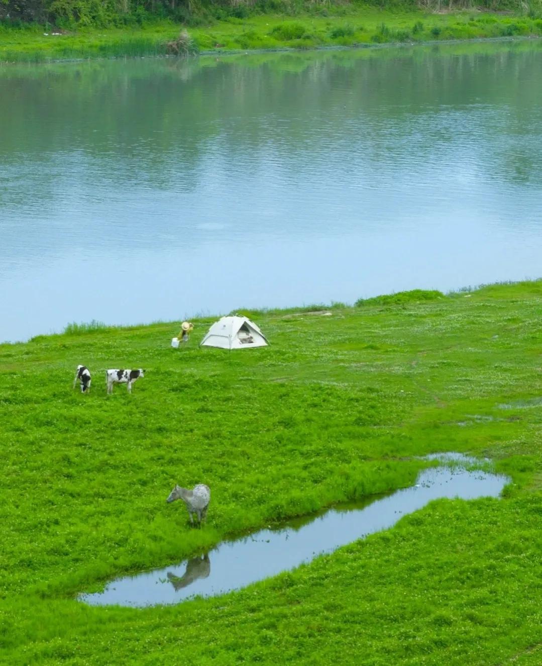 大成都范围内的露营基地,高峰朝阳露营地推荐