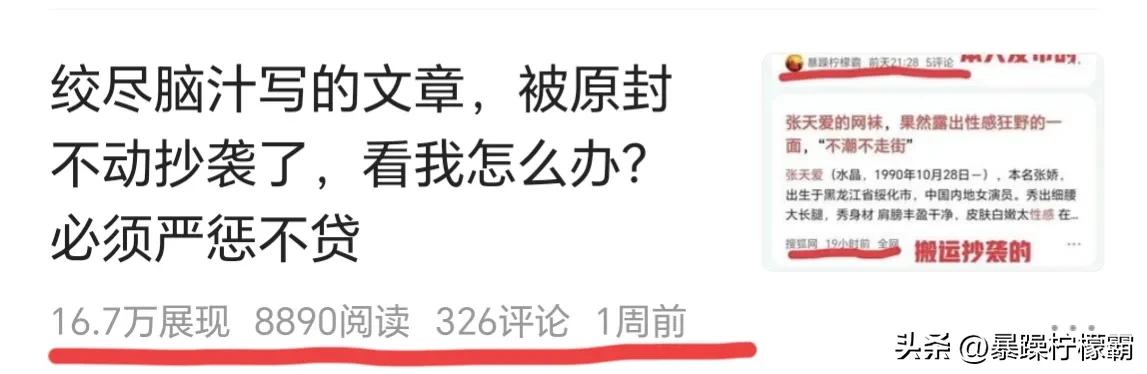 已经删除的文章还会被查出抄袭吗,文章被判定抄袭会被系统删除吗
