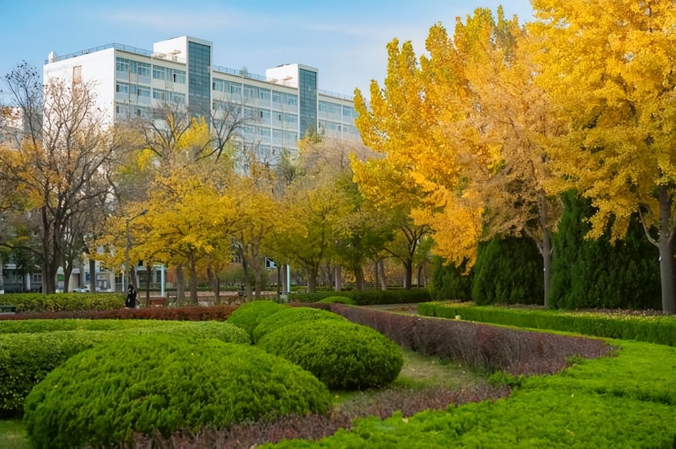 学校可以开设哪些小语种,哪些大学招收小语种