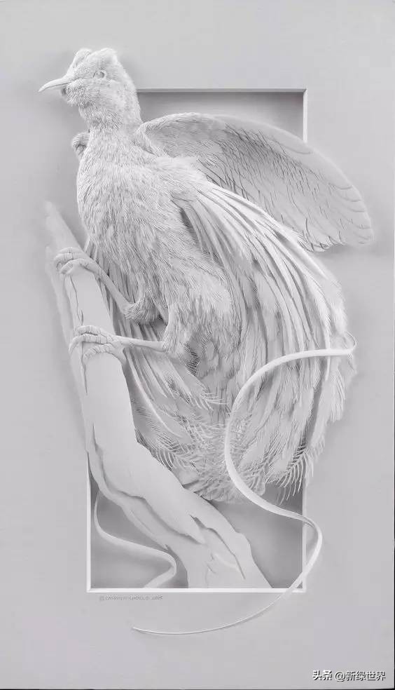 纸艺作品绘画,千变万化的纸艺术作品