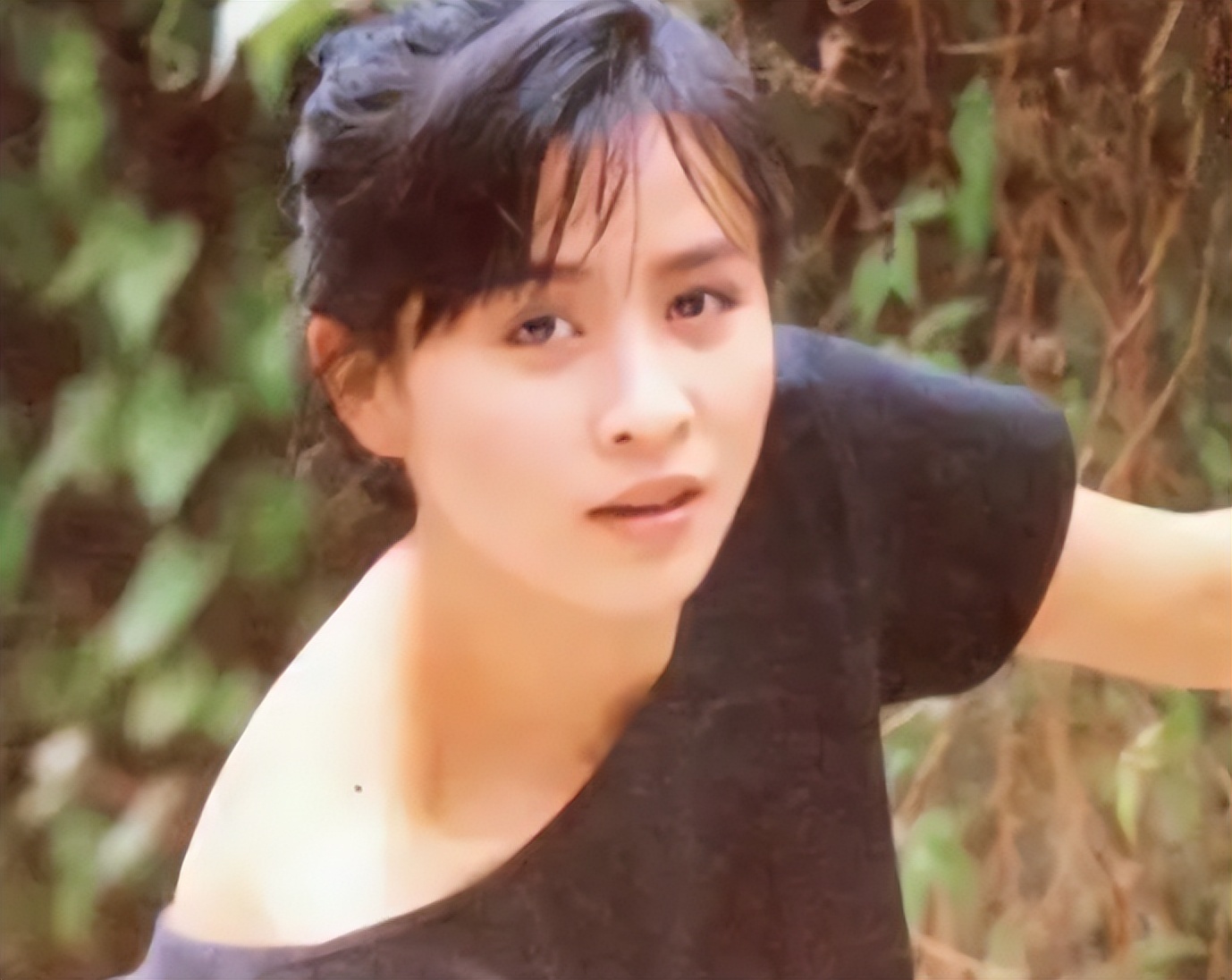 鐜嬫澃鍒樺痉鍗庡垬鍢夌幉,鐜嬫澃涓庡垬鍢夌幉娴烽様澶╃┖