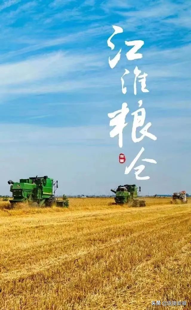 粮食怎么办,怎么解决粮食问题