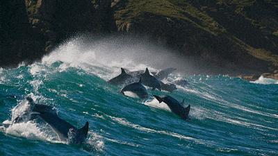 暑假怎么教育孩子,暑假怎么教育初中儿子