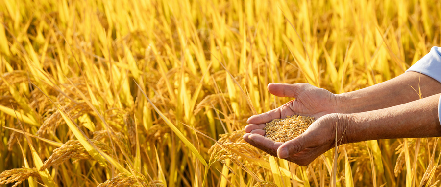 助农直播带货存在的问题,助农直播需要注意的安全问题