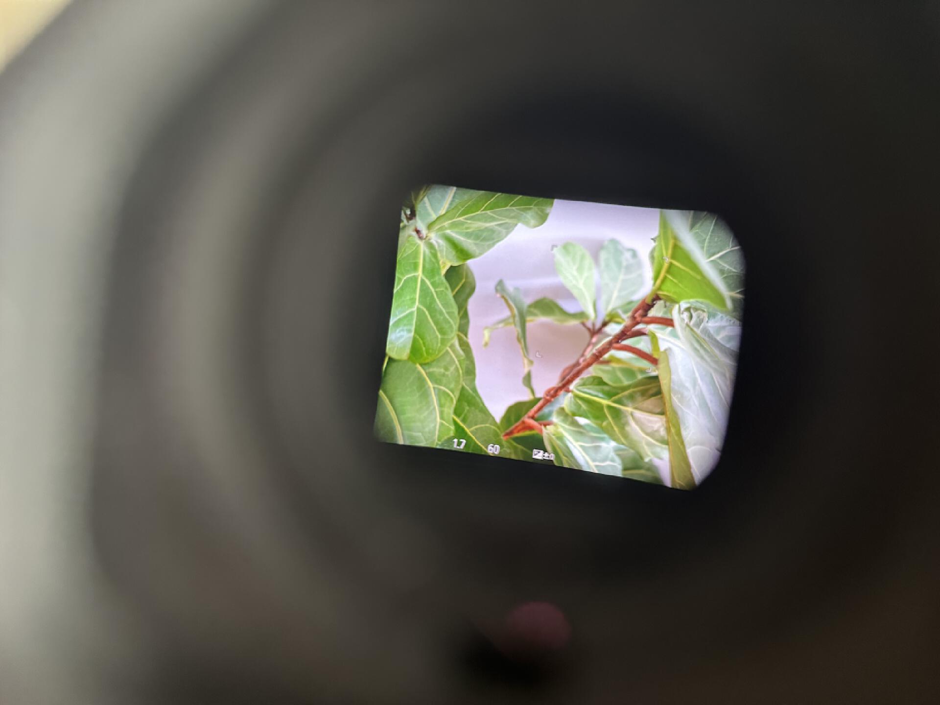 拍人像必备摄影器材有哪些,一般摄影必用的照相器材有哪些呢