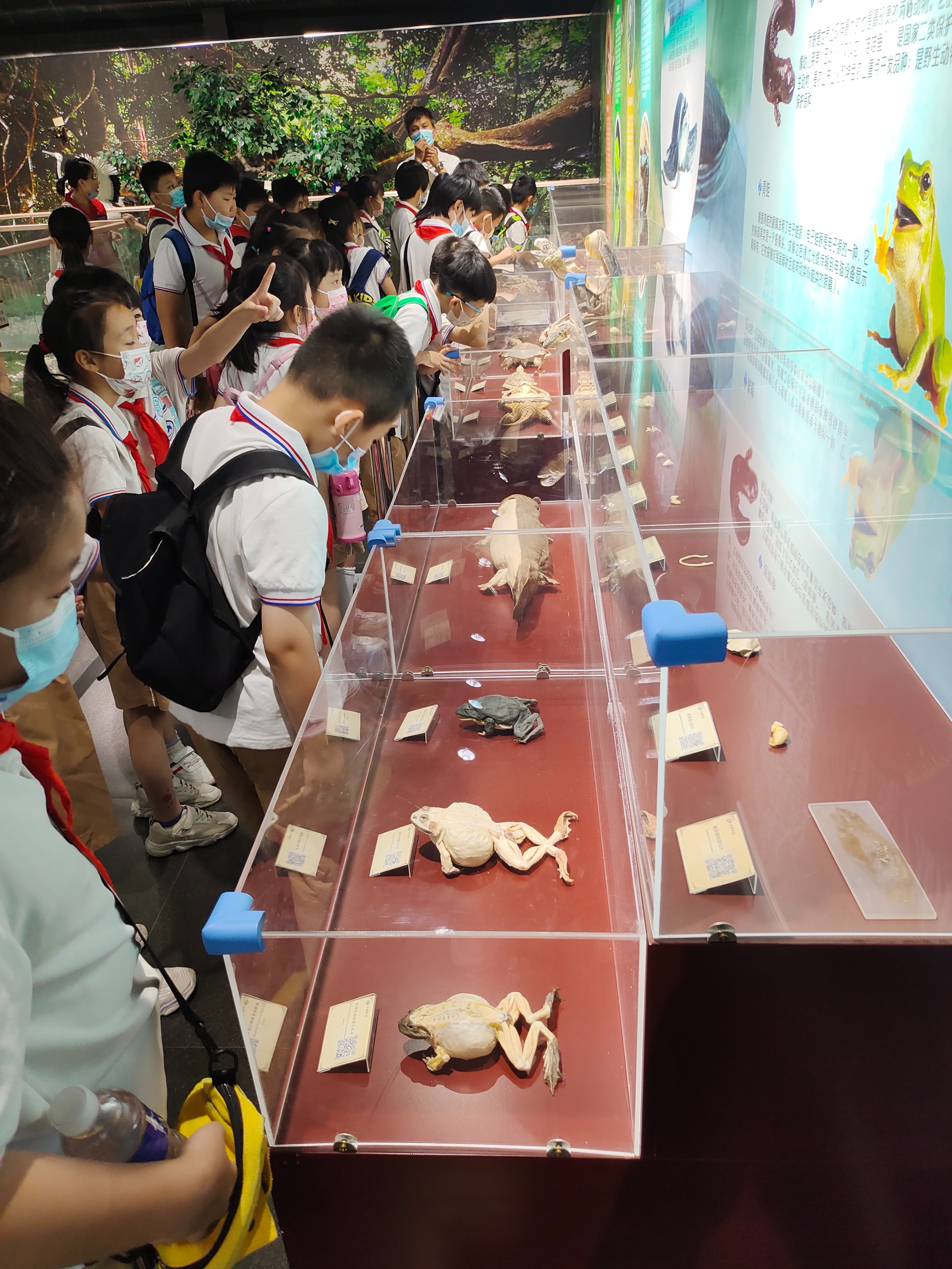 郑州冬季周末遛娃好去处,郑州金沙湖高尔夫观邸遛娃