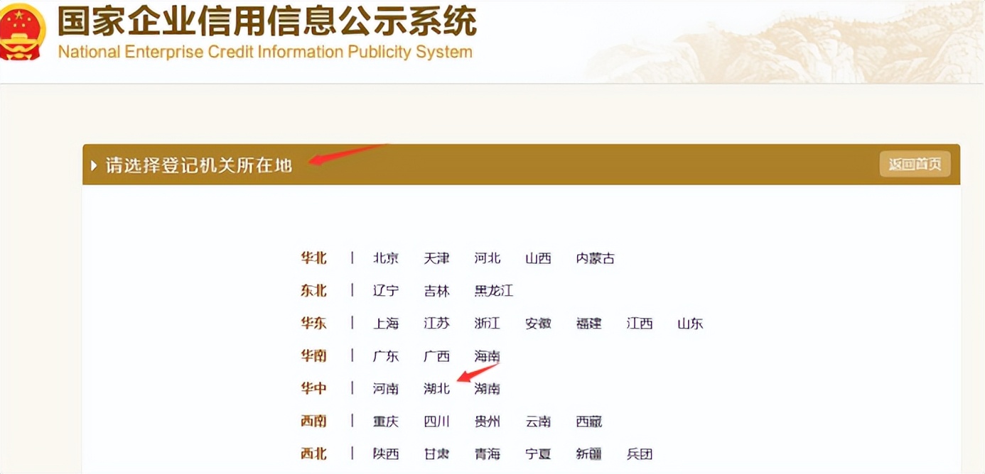 手把手教你填写年报,年报怎么填写视频