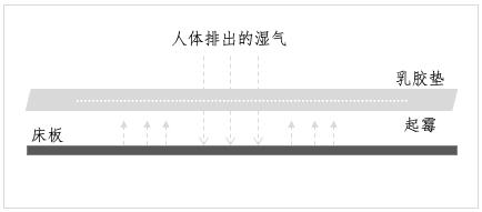 毛巾发霉不用怕八个小妙招巧解决,解决浴室发霉的小妙招