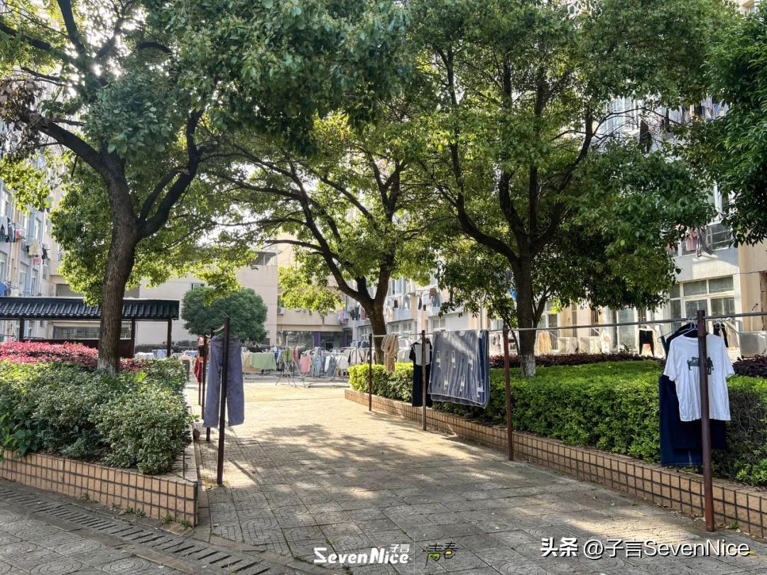 江西现代学院怎么样,湖南工业大学不说再见毕业季