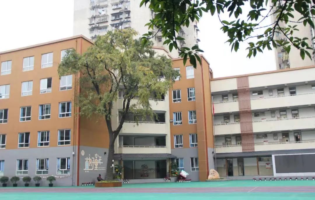 盘点一下成都排名前十小学,成都5朵金花哪个初中好