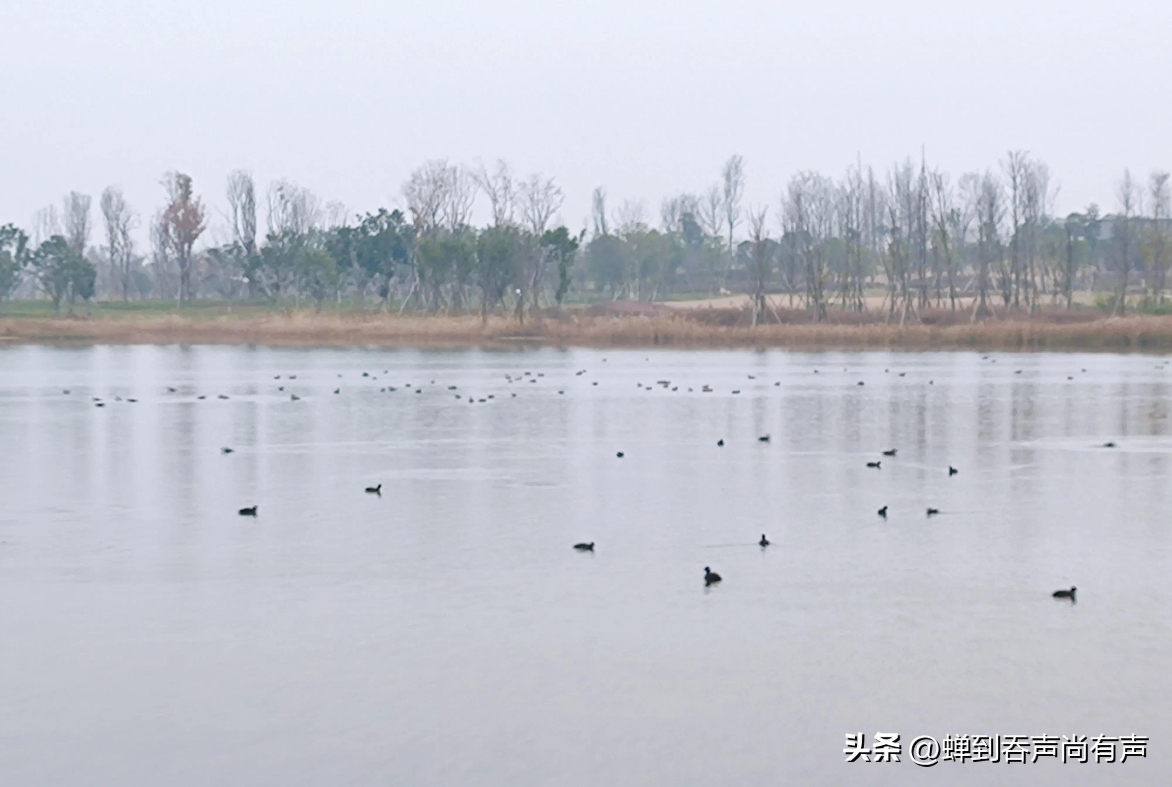 停留片刻的时间,停留片刻的美好