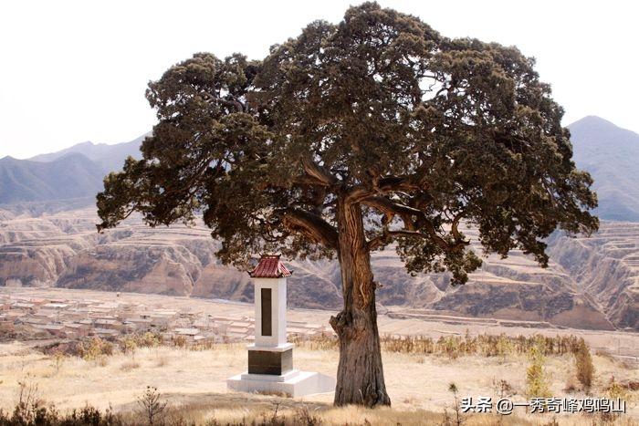 大辽花园——关于下花园区九处辽文化遗址的考证
