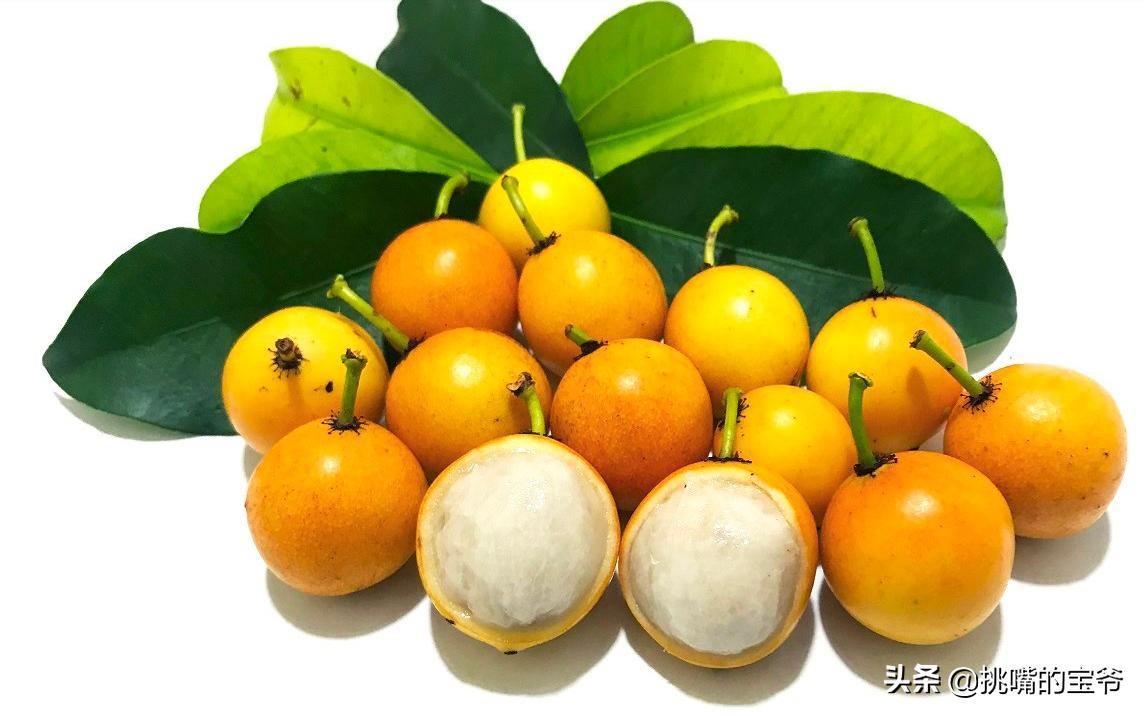 国土面积小于三万的国家,国土面积不足的省