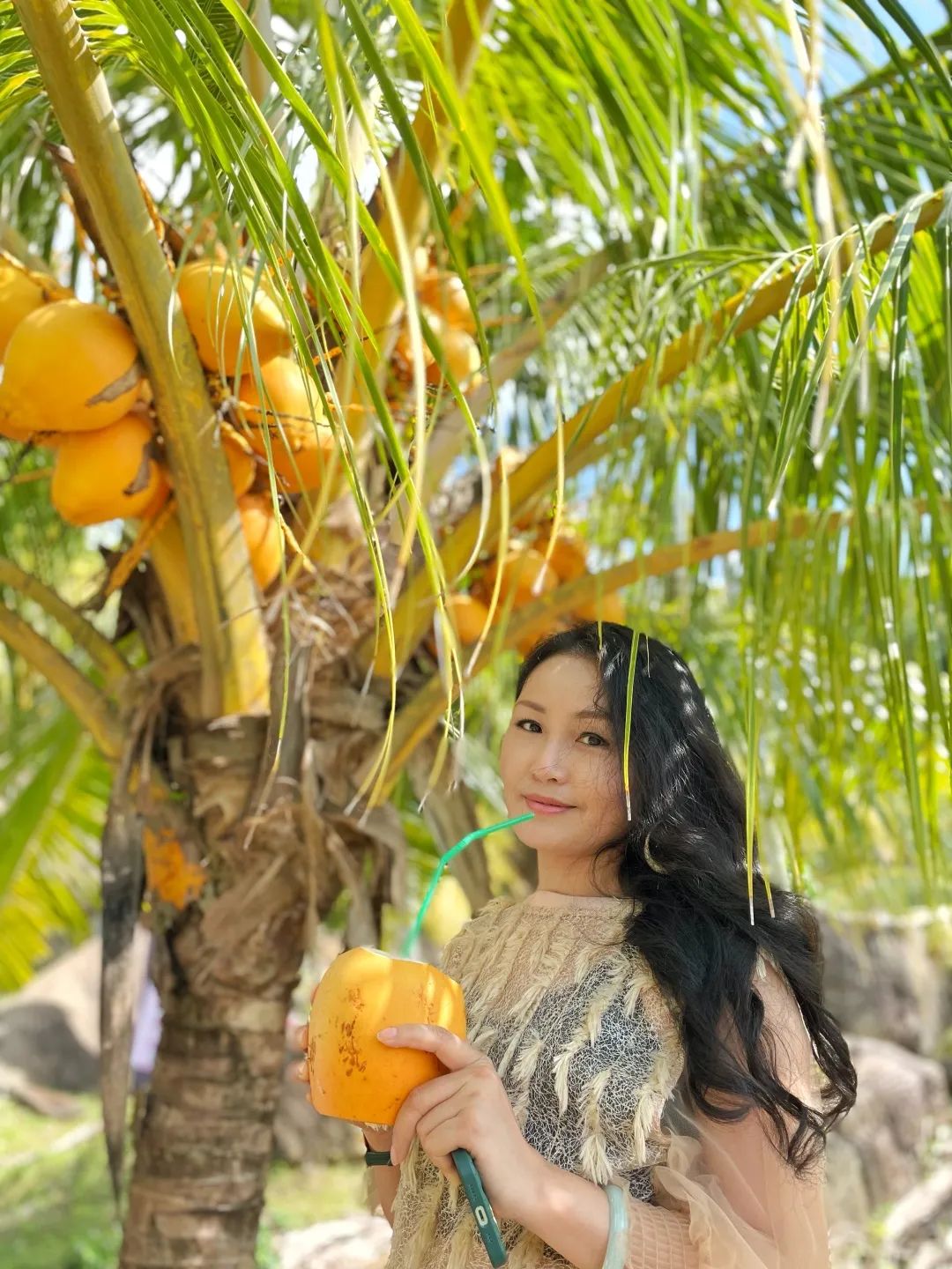 海南环岛自驾游6天住哪里,海南岛自驾性价比最高旅游攻略