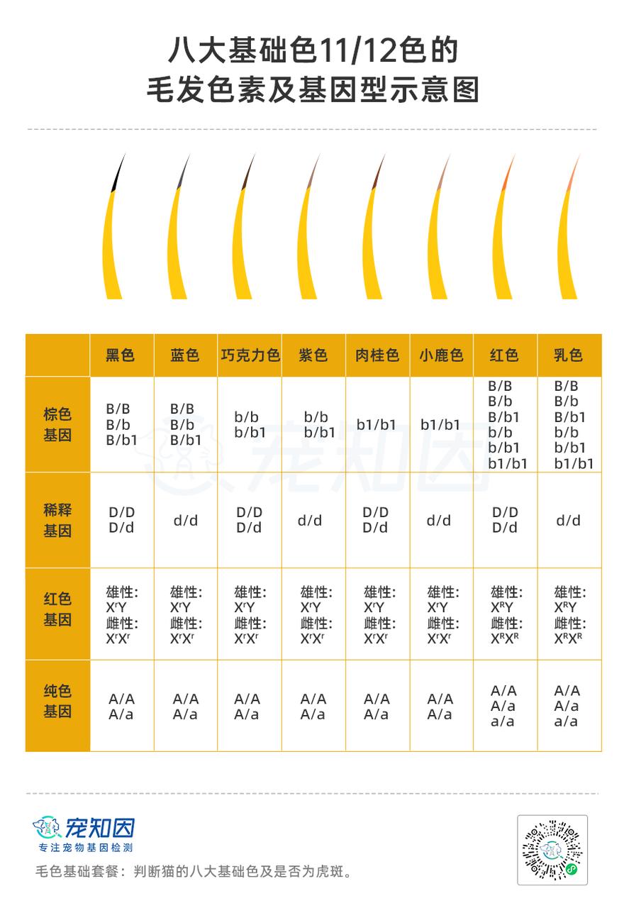 基因技术重大突破,基因科技的重大突破