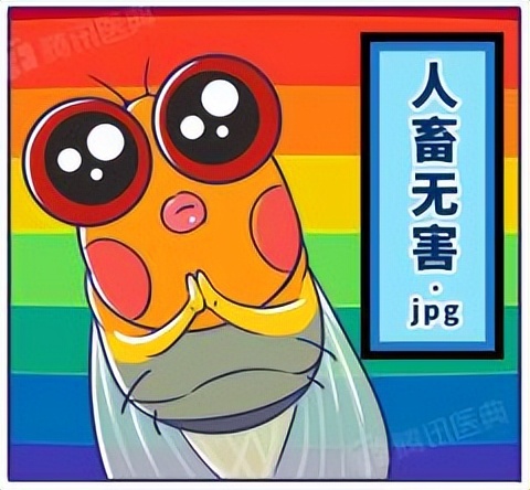 家里有很多黑色小飞虫是什么原因,家里总有黑色小飞虫怎么解决