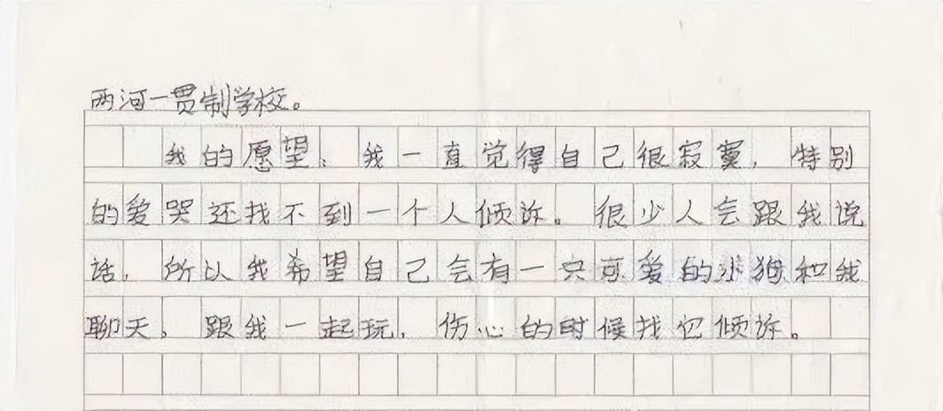 快来看看你捐的玩具都去哪了|森林天使公益