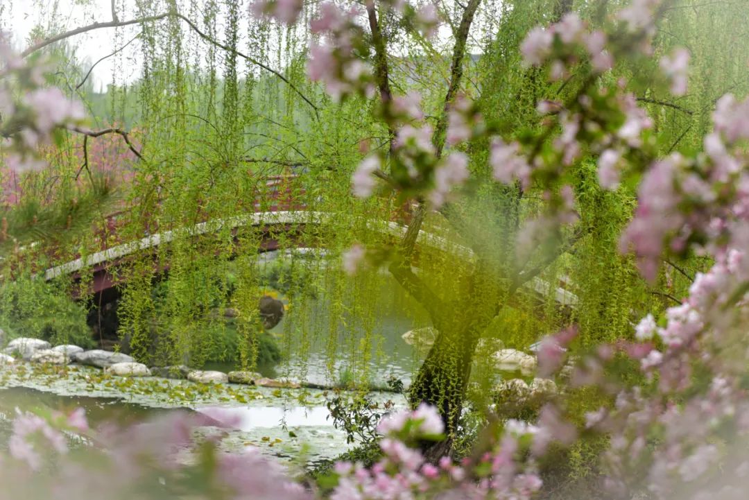 春日来信,春日来信与美好不期而遇