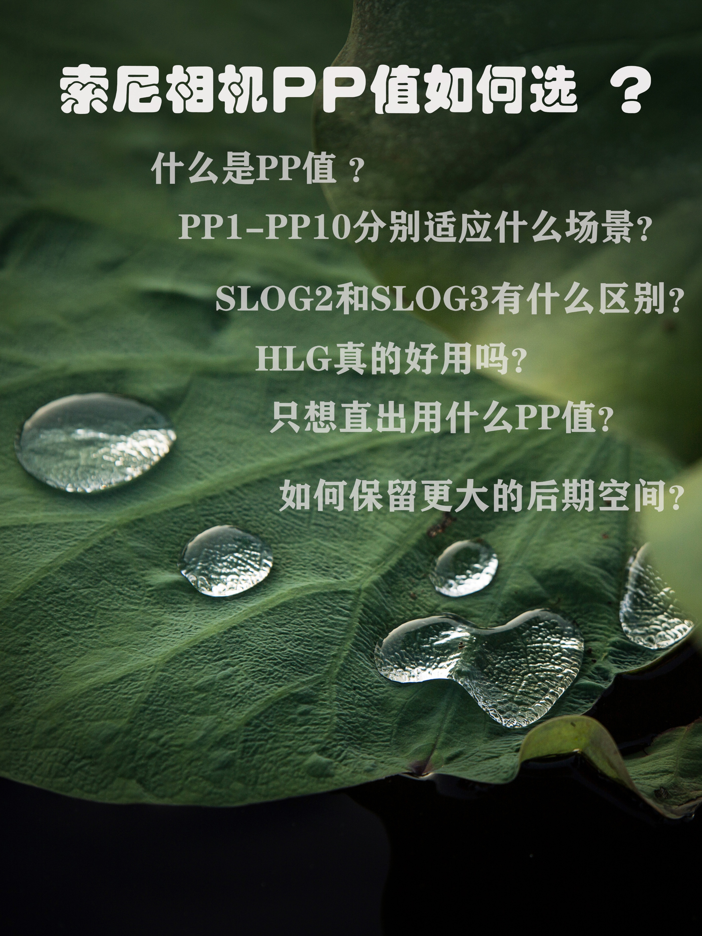 索尼pp值细节等级是什么,索尼pp值1到10的区别